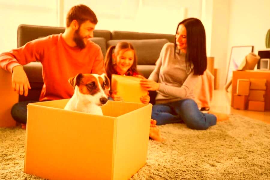 Moving with Pets: What You Need to Know